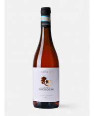 Vini Rosè  NOTARI Cerasuolo D’Abruzzo DOC 2021 - Notari 11,89 €