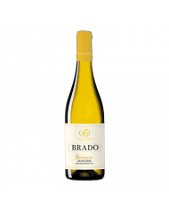 Vini Bianchi  Brado Colline Teatine Pecorino IGT 2022 - Valle Martello 8,61 €