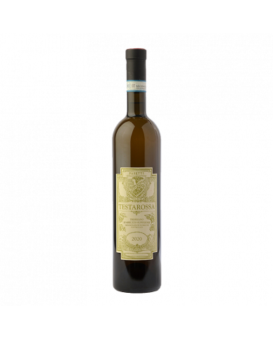 Witte Wijnen  Testarossa Terre Aquilane Superiore D.O.P. 2021 - Pasetti 18,93 â‚¬ Witte Wijnen  Testarossa Terre Aquilane Superiore D.O.P. 2021 - Pasetti 18,93 â‚¬