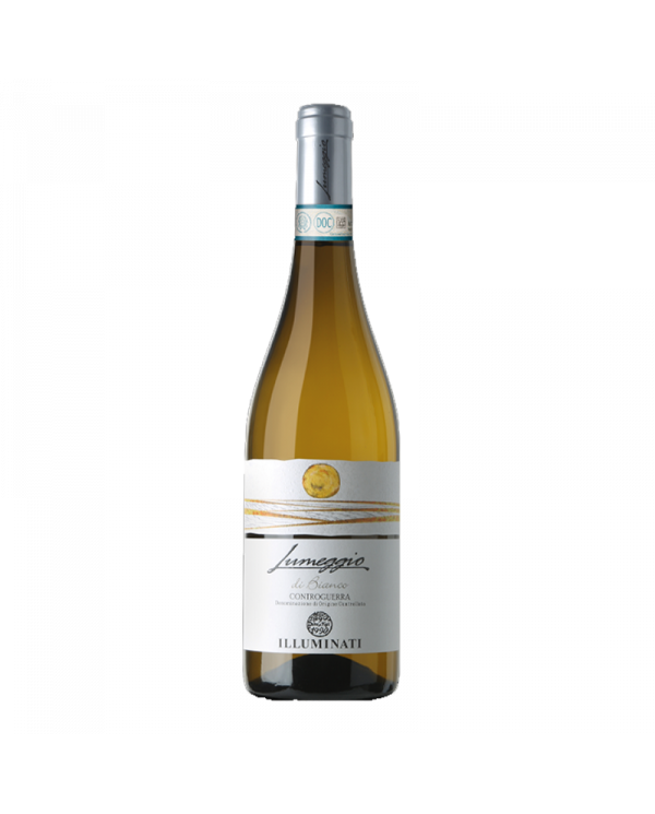 Vini Bianchi  Lumeggio di Bianco Controguerra Bianco Doc 2023 - Illuminati 6,16 â‚¬ Vini Bianchi  Lumeggio di Bianco Controguerra Bianco Doc 2023 - Illuminati 6,16 â‚¬