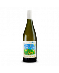 White wines  Giocheremo con i fiori Abruzzo DOC Pecorino 2023 - Torre dei Beati 12,20 €