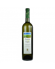 White wines  Selene Passerina Controguerra DOC 2023 - Cantina Lepore 9,02 €