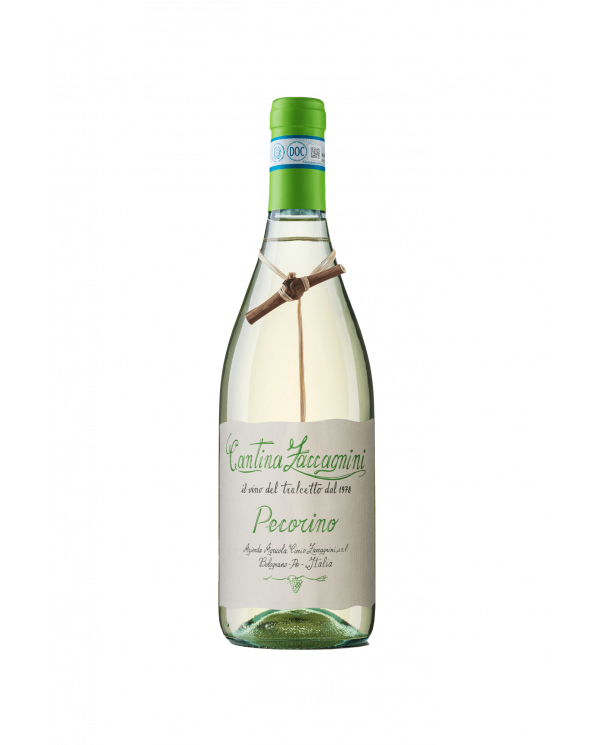 Witte Wijnen  Tralcetto Abruzzo DOC Pecorino 2022 - Cantina Zaccagnini 7,20 â‚¬ Witte Wijnen  Tralcetto Abruzzo DOC Pecorino 2022 - Cantina Zaccagnini 7,20 â‚¬
