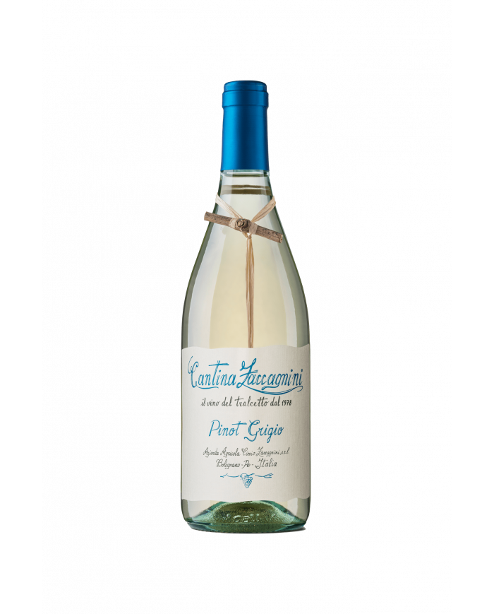 White wines  Tralcetto Pinot Grigio Terre di Chieti IGT 2022 - Cantina Zaccagnini 8,54 €