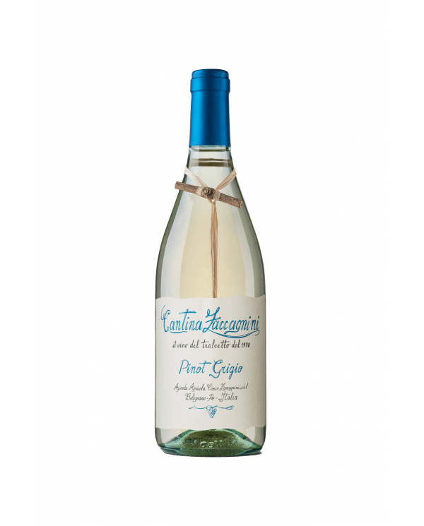 Witte Wijnen  Tralcetto Pinot Grigio Terre di Chieti IGT 2022 - Cantina Zaccagnini 8,54 â‚¬ Witte Wijnen  Tralcetto Pinot Grigio Terre di Chieti IGT 2022 - Cantina Zaccagnini 8,54 â‚¬