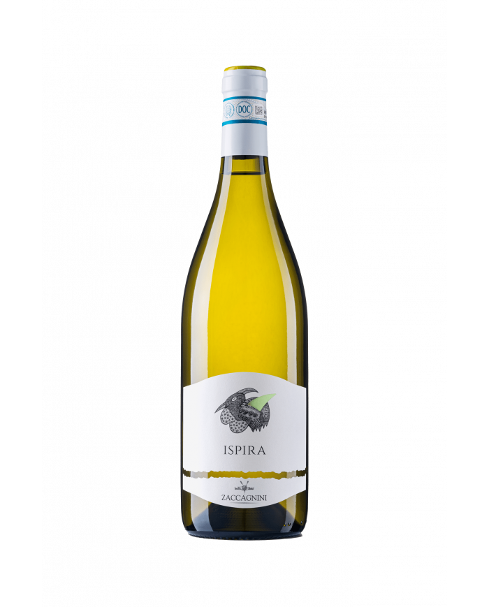 Vini Bianchi  Ispira Abruzzo DOC Passerina 2021 - Cantina Zaccagnini 10,99 â‚¬ Vini Bianchi  Ispira Abruzzo DOC Passerina 2021 - Cantina Zaccagnini 10,99 â‚¬