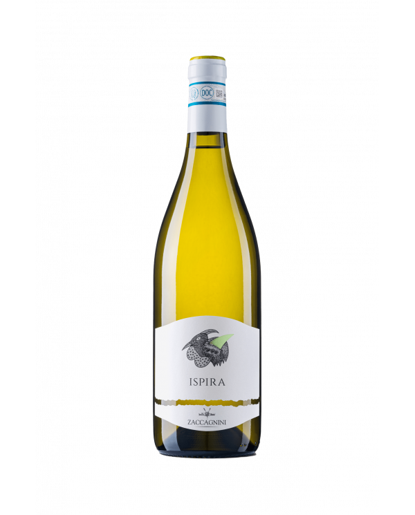 Witte Wijnen  Ispira Abruzzo DOC Passerina 2021 - Cantina Zaccagnini 10,99 â‚¬ Witte Wijnen  Ispira Abruzzo DOC Passerina 2021 - Cantina Zaccagnini 10,99 â‚¬