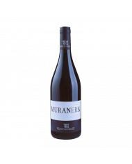 Red Wines  Muranera Rosso Calabria IGT 2021 - Tenuta Iuzzolini 16,84 â‚¬ Red Wines  Muranera Rosso Calabria IGT 2021 - Tenuta Iuzzolini 16,84 â‚¬