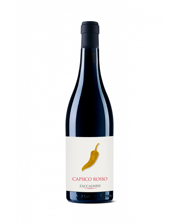 Vini Rossi  Capsico Rosso Colline Pescaresi IGT 2020 - Cantina Zaccagnini 16,00 €