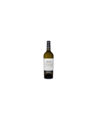 Witte Wijnen  BRILLA Cococciola Colline Pescaresi IGP 2020 - Marchesi de Cordano 8,11 â‚¬ Witte Wijnen  BRILLA Cococciola Colline Pescaresi IGP 2020 - Marchesi de Cordano 8,11 â‚¬