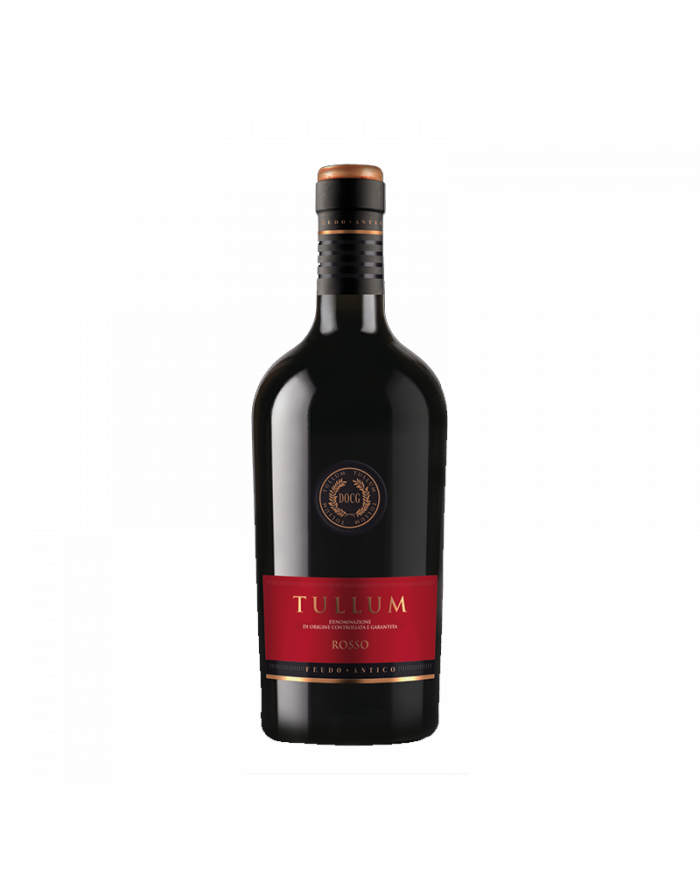 Red Wines  Rosso Tullum DOCG 2020 - Feudo Antico 12,00 €