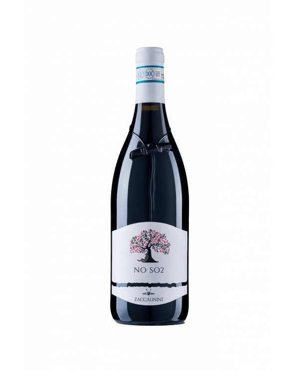 Red Wines  NO SO2 Montepulciano d’Abruzzo DOC 2020 - Cantina Zaccagnini 8,03 â‚¬ Red Wines  NO SO2 Montepulciano d’Abruzzo DOC 2020 - Cantina Zaccagnini 8,03 â‚¬