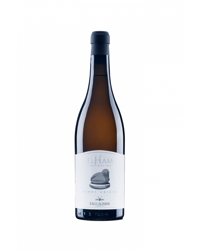 Witte Wijnen  ELHAM Pinot Grigio Colline Pescaresi IGT 2020 - Cantina Zaccagnini 15,33 €