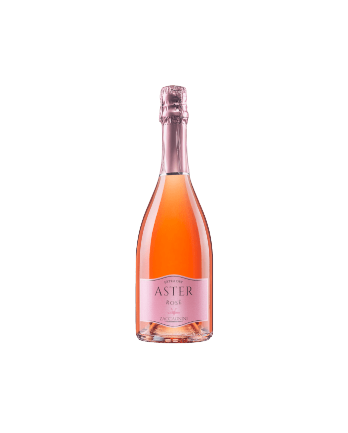 Vini Rosè  Aster Spumante Brut Rosè - Cantina Zaccagnini 11,07 €