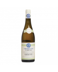 White wines  Trebbiano d'Abruzzo DOC 2020 - Emidio Pepe 84,00 €
