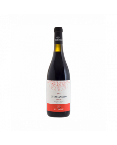 Red Wines  Flaminio Ottavianello Ostuni Rosso Dop 2021 - Agricole Vallone 10,71 â‚¬ Red Wines  Flaminio Ottavianello Ostuni Rosso Dop 2021 - Agricole Vallone 10,71 â‚¬