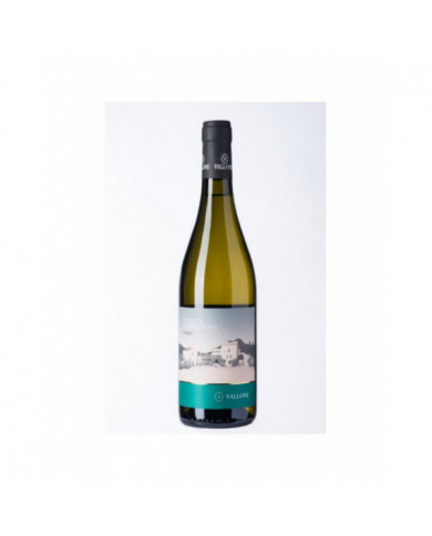 White wines  Vallone Tenuta Serranova Fiano Salento Bianco IGP 2021 Agricole Vallone 11,00 â‚¬ White wines  Vallone Tenuta Serranova Fiano Salento Bianco IGP 2021 Agricole Vallone 11,00 â‚¬