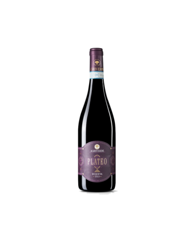Red Wines  PLATEO Montepulciano d’Abruzzo DOC 2018 - Agriverde 28,21 € Red Wines  PLATEO Montepulciano d’Abruzzo DOC 2018 - Agriverde 28,21 €
