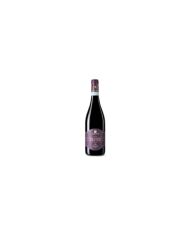 Vini Rossi  PLATEO Montepulciano d’Abruzzo DOC 2018 - Agriverde 28,21 â‚¬ Vini Rossi  PLATEO Montepulciano d’Abruzzo DOC 2018 - Agriverde 28,21 â‚¬