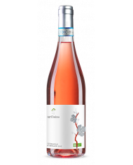 Rosé Wines  Cerasuolo d'Abruzzo Doc Bio 2022 - Agricosimo 7,70 €