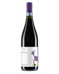 Red Wines  Montepulciano d'Abruzzo Doc 2020 - Agricosimo 8,71 â‚¬ Red Wines  Montepulciano d'Abruzzo Doc 2020 - Agricosimo 8,71 â‚¬