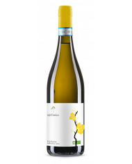 White wines  Passerina d'Abruzzo Doc Bio 2021 - Agricosimo 8,71 €
