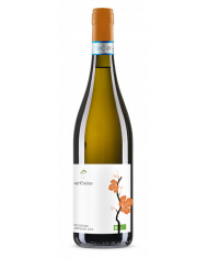 White wines  Pecorino d'Abruzzo Doc Bio 2022 - Agricosimo 8,96 €