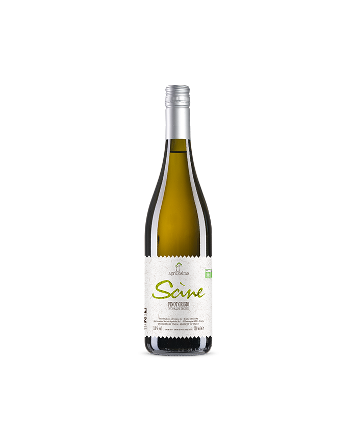 White wines  Scine Pinot Grigio Igt Bio 2021 - Agricosimo 5,67 €