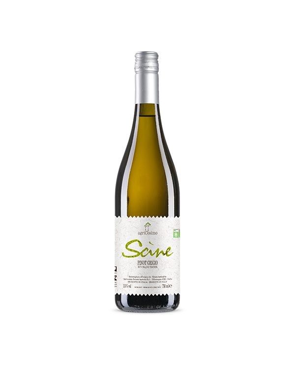 Vini Bianchi  Scine Pinot Grigio Igt Bio 2021 - Agricosimo 5,67 €