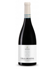 Rode wijnen  Villamagna Doc 2019 - Agricosimo 11,06 €
