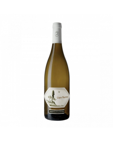 Witte Wijnen  Capo Martino Venezia Giulia IGT 2006 - Jermann 59,40 € Witte Wijnen  Capo Martino Venezia Giulia IGT 2006 - Jermann 59,40 €