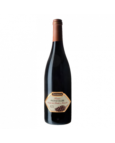 Vini Rossi  Pignacolusse Venzia Giulia IGT 2017 - Jermann 25,38 € Vini Rossi  Pignacolusse Venzia Giulia IGT 2017 - Jermann 25,38 €