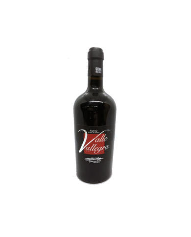 Red Wines  Valle Allegra Rosso Terre di Chieti IGP 2016 - Gioia del Sole 5,88&nbsp;€