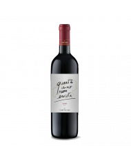 Vini Rossi  Questo Vino Non Esiste Rosso del Molise 2019 - Campi Valerio 12,75 €