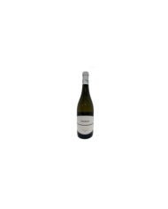 Vini Bianchi  Chardonnay Terre di Chieti IGP 2020 - Vignola - San Michele Arcangelo 7,03 €