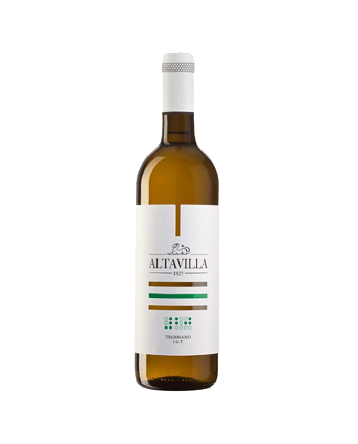 White wines  Trebbiano d'Abruzzo IGT 2021 - Altavilla - Marchesi De Cordano 5,09 €