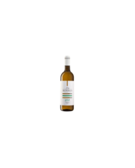 White wines  Trebbiano d'Abruzzo IGT 2021 - Altavilla - Marchesi De Cordano 5,09 €