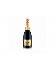 Vini Spumanti  Franciacorta Brut DOCG - Bosio 21,53 €
