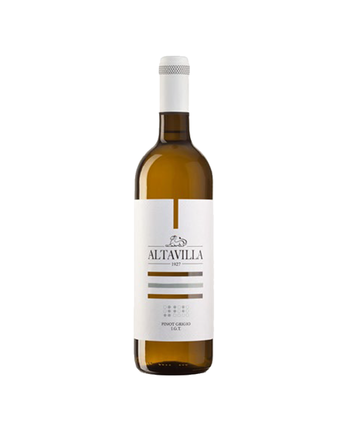 Witte Wijnen  Pinot Grigio IGT 2021 - Altavilla - Marchesi De Cordano 5,09 €