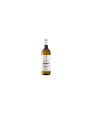 Witte Wijnen  Pinot Grigio IGT 2021 - Altavilla - Marchesi De Cordano 5,09 €