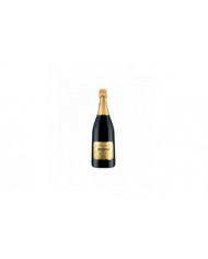 Große Formate  Franciacorta Brut Magnum DOCG Bosio 46,20 €