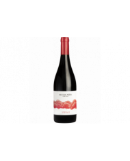 Red Wines  Syrah Toscana Igt 2019 Buccia Nera 14,30&nbsp;€