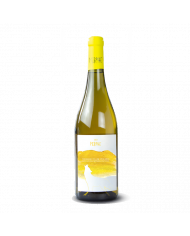 Witte Wijnen  Mormaj Trebbiano IGT 2021 Colline Pescaresi - Tocco d'Italy 16,94 â‚¬ Witte Wijnen  Mormaj Trebbiano IGT 2021 Colline Pescaresi - Tocco d'Italy 16,94 â‚¬