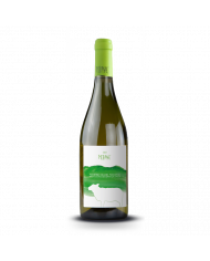 White wines  Mormaj Pecorino Colline Pescaresi IGT 2021 - Tocco d'Italy 12,70 â‚¬ White wines  Mormaj Pecorino Colline Pescaresi IGT 2021 - Tocco d'Italy 12,70 â‚¬