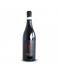 Vini Rossi  Mormaj Anfora - Montepulciano d'Abruzzo D.O.C. 2021 Biologico - Tocco d'Italy 18,06 €