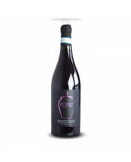 Vini Rosè  Mormaj Anfora Cerasuolo d'Abruzzo D.O.C. 2021 Biologico - Tocco d'Italy 21,23 €