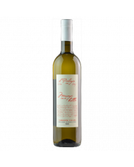 Witte Wijnen  Message In A Bottle Bianco 2021 bio - I vini di Sting - Il Palagio 10,57 â‚¬ Witte Wijnen  Message In A Bottle Bianco 2021 bio - I vini di Sting - Il Palagio 10,57 â‚¬