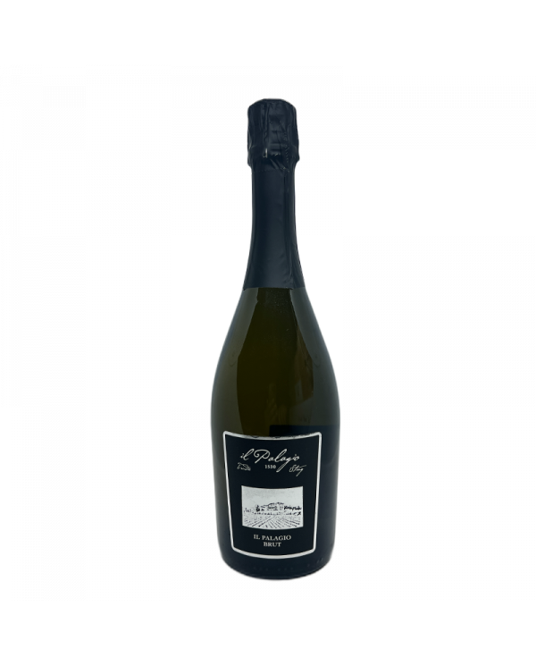Vini Spumanti  Spumante Brut - I Vini di Sting Il Palagio 15,98 â‚¬ Vini Spumanti  Spumante Brut - I Vini di Sting Il Palagio 15,98 â‚¬