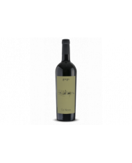 Vini Rossi  Corvina Veronese Ca' Nova Igt 2021 - Azienda Agricola Gorgo 13,43 €