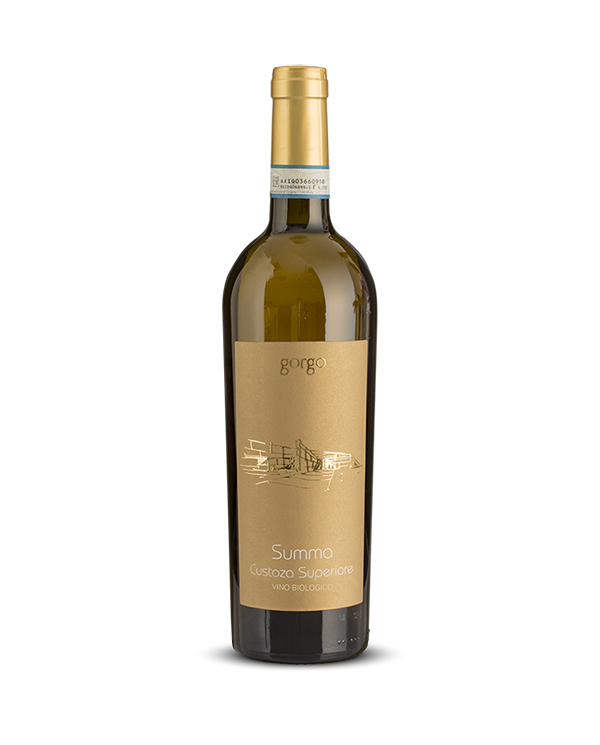 Vini Bianchi  Summa Bianco di Custoza Superiore Doc 2021 - Azienda Agricola Gorgo 10,67 â‚¬ Vini Bianchi  Summa Bianco di Custoza Superiore Doc 2021 - Azienda Agricola Gorgo 10,67 â‚¬